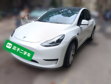 Tesla Model Y 2022 Tesla Model Y 2022 car image