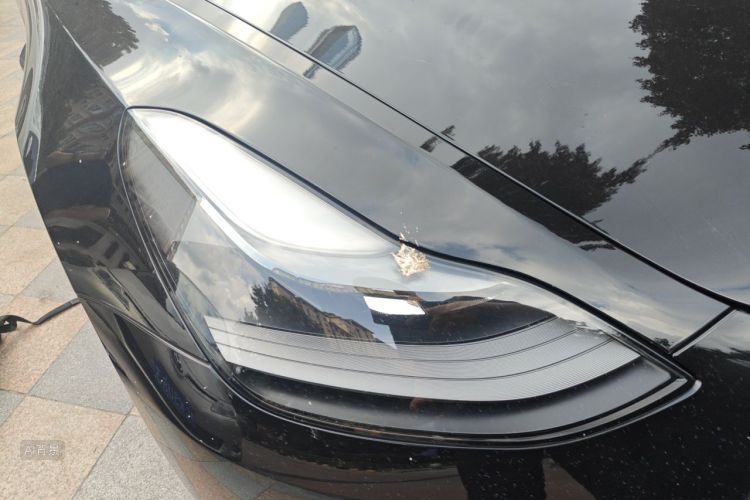 Tesla Model 3 2021 immagine di auto #8