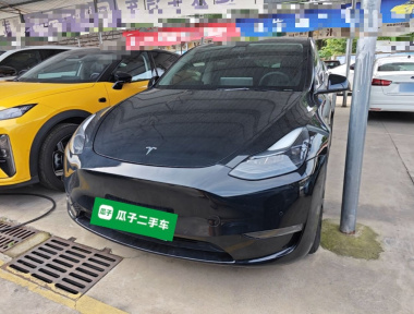 Tesla Model Y 2021 car image 