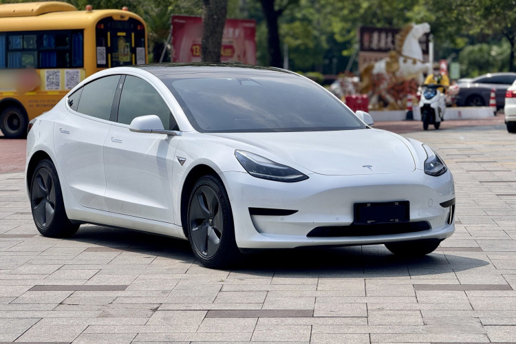 Tesla Model 3 2020 #3 Tesla Model 3 2020 car image #3