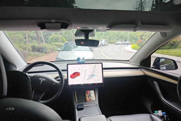 Tesla Model Y 2021 car image #20