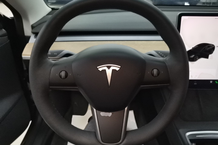 Tesla Model 3 2021 #11 Tesla Model 3 2021 car image #11