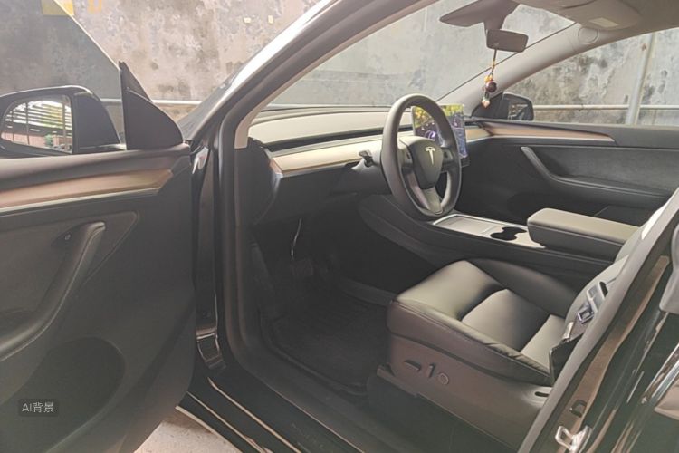 Tesla Model Y 2021 #19 Tesla Model Y 2021 صورة سيارة #19