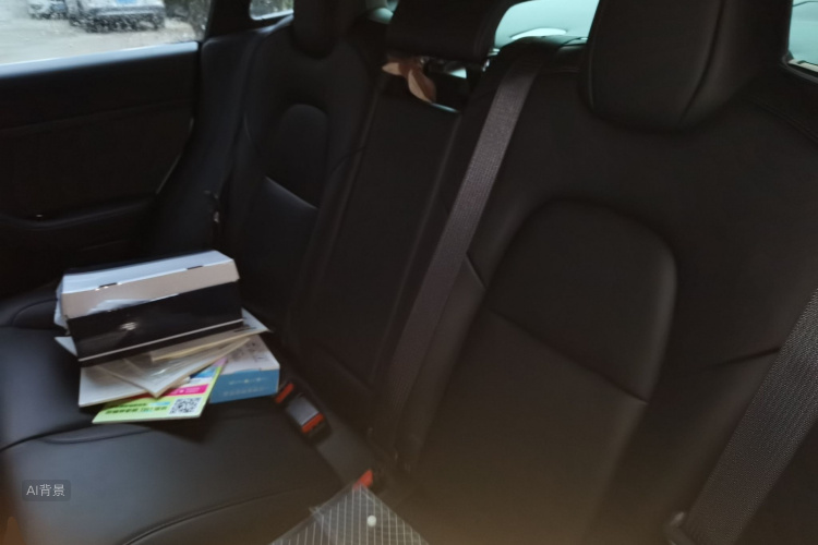 Tesla Model 3 2020 car image #19