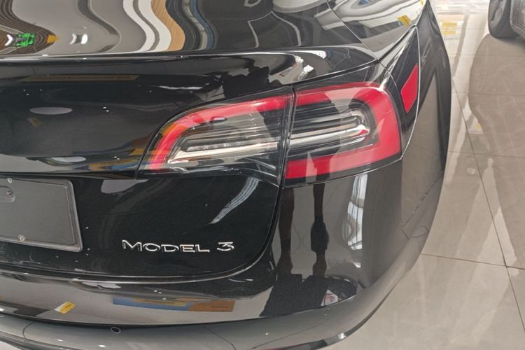 Tesla Model 3 2023 #8 Tesla Model 3 2023 car image #8