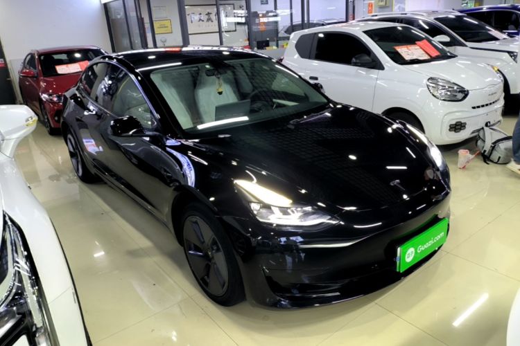 Tesla Model 3 2023 #4 Tesla Model 3 2023 car image #4