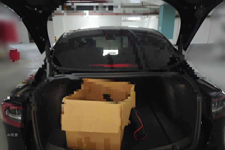 Tesla Model 3 2022 car image #21