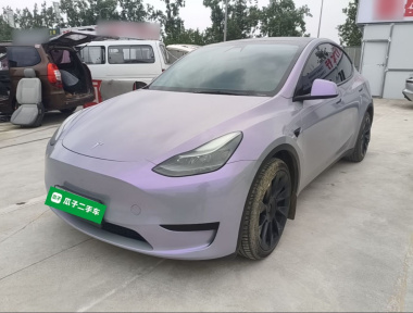 Tesla Model Y 2022 immagine di auto 