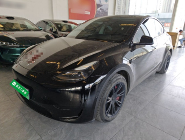 Tesla Model Y 2022 car image 