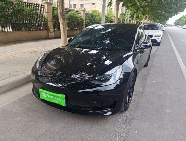 Tesla Model 3 2021 car image 