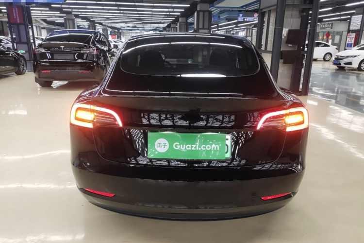 Tesla Model 3 2021 #6 Tesla Model 3 2021 car image #6