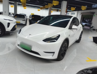 Tesla Model Y 2021 Tesla Model Y 2021 car image