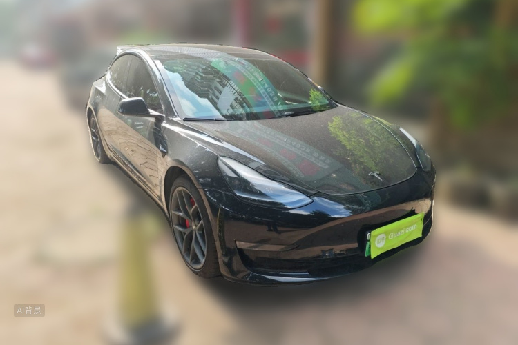 Tesla Model 3 2022 car image #4