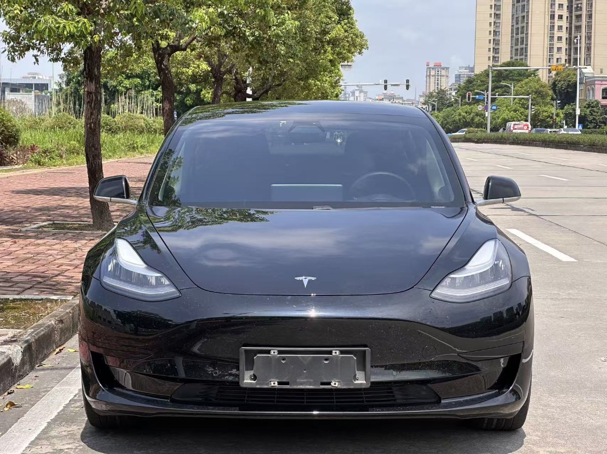 Tesla Model 3 2021 #2 Tesla Model 3 2021 car image #2
