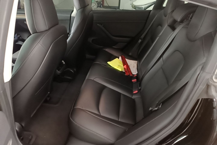 Tesla Model 3 2022 car image #17