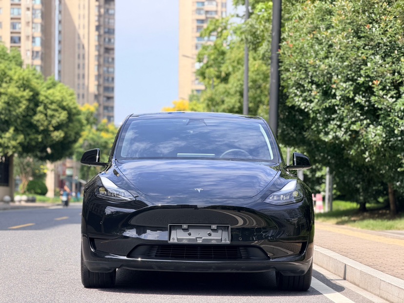 Tesla Model Y 2023 #2 Tesla Model Y 2023 car image #2