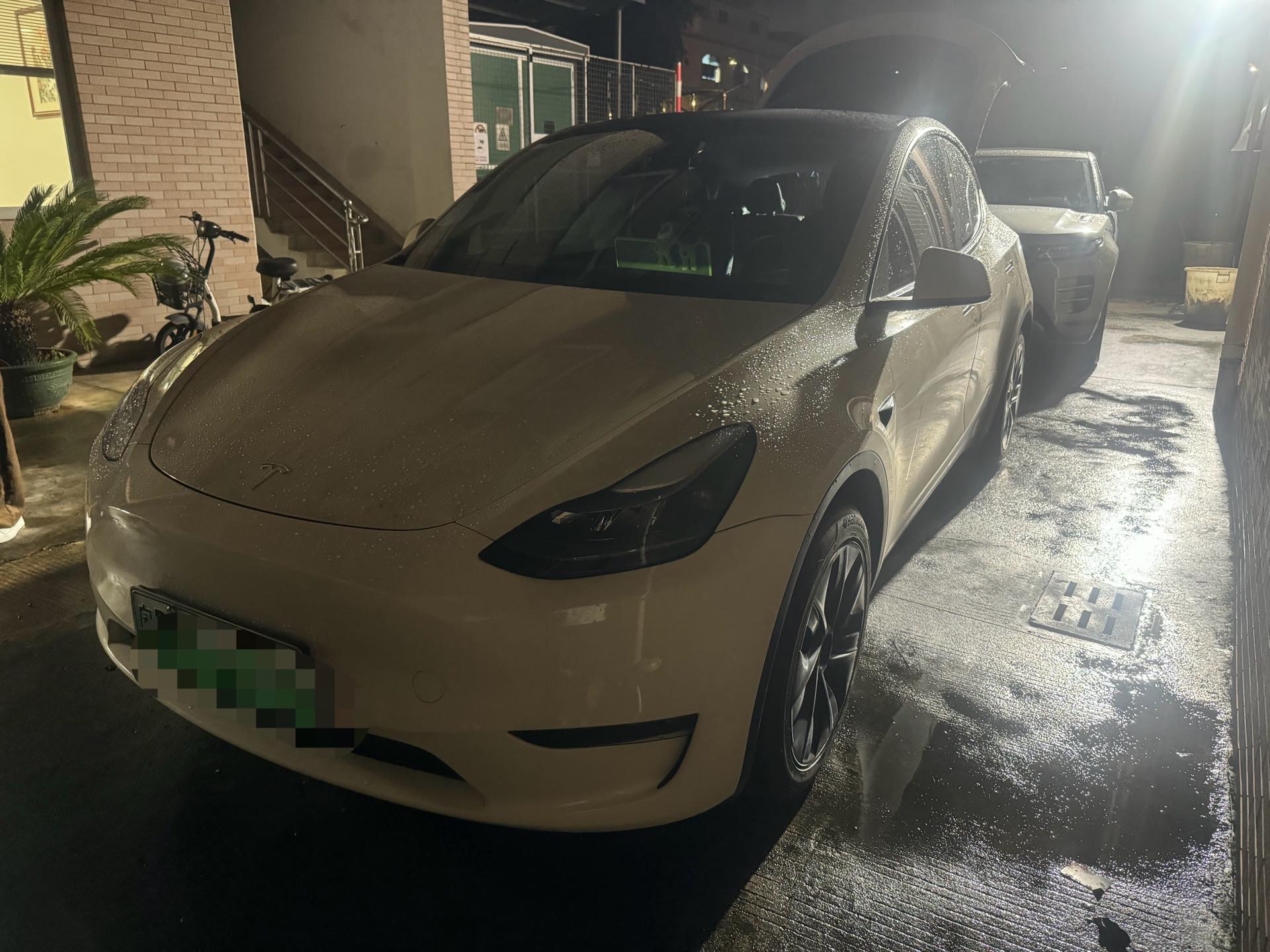 Tesla Model Y 2023 Tesla Model Y 2023 car image