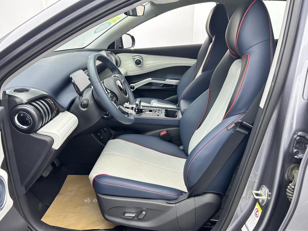 BYD Yuan Plus 2023 car image #8