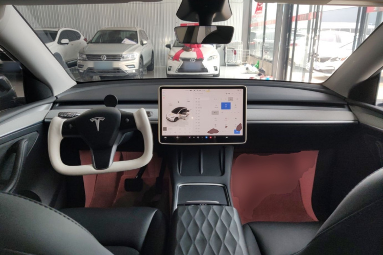 Tesla Model Y 2024 car image #10