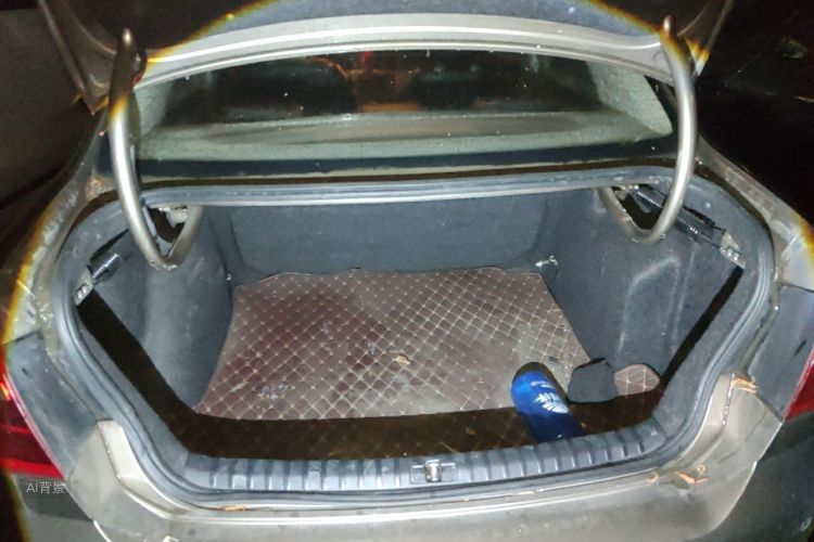 Volkswagen Bora 2014 car image #21