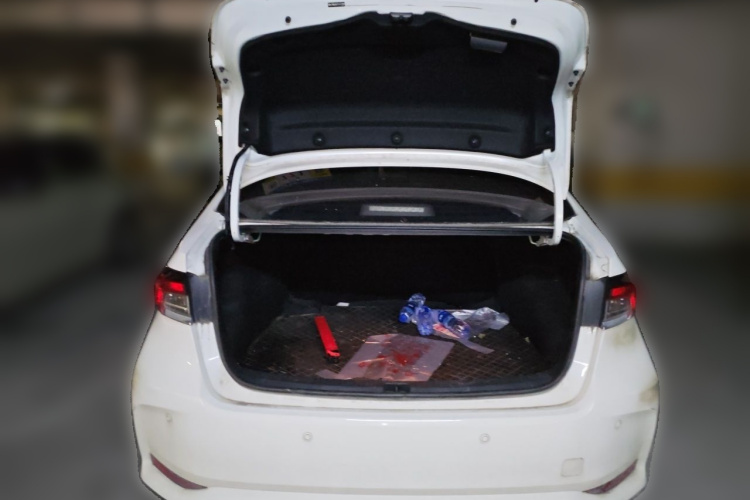 Toyota Corolla 2020 car image #17