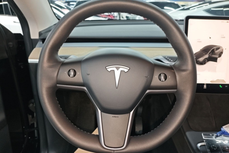 Tesla Model Y 2023 immagine di auto #12