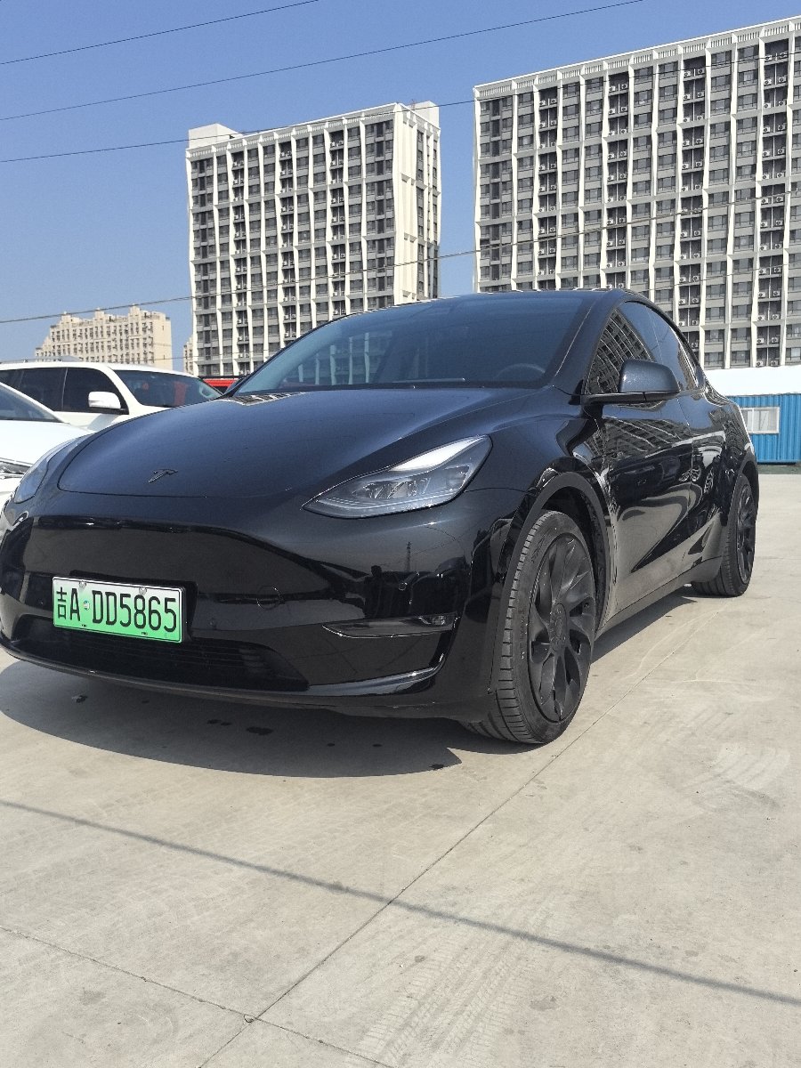Tesla Model Y 2021 car image #3