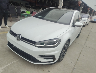 Volkswagen Golf 2019 Volkswagen Golf 2019 car image