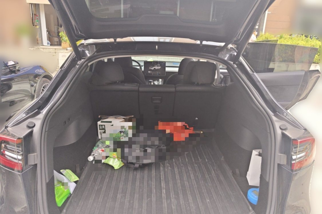 Tesla Model Y 2024 car image #8
