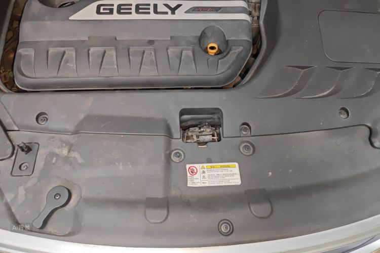 GEELY Emgrand GS 2017 imagem de carro #22