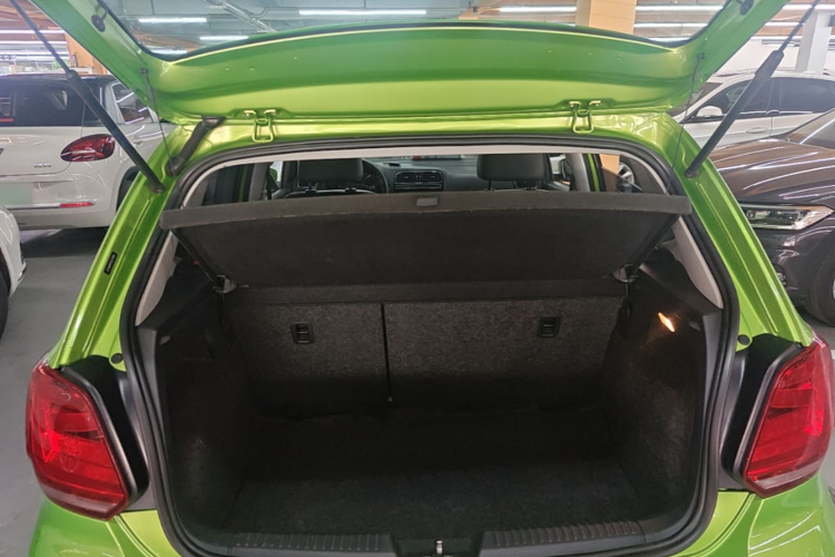 Volkswagen Polo 2014 car image #19