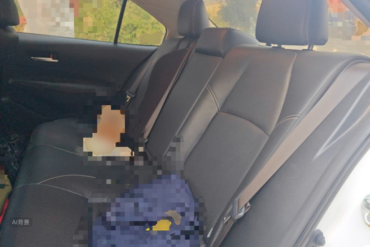 Toyota Corolla 2020 car image #19