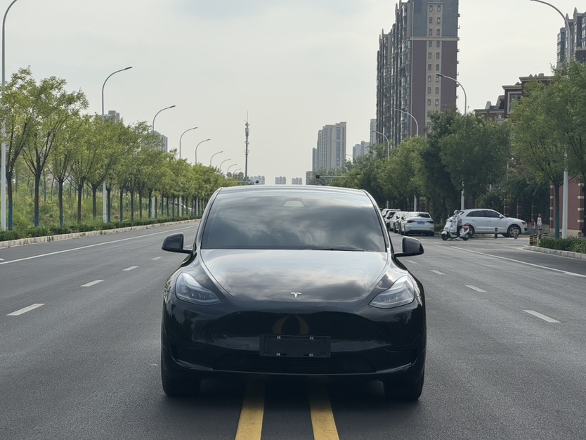 Tesla Model Y 2022 #2 Tesla Model Y 2022 car image #2