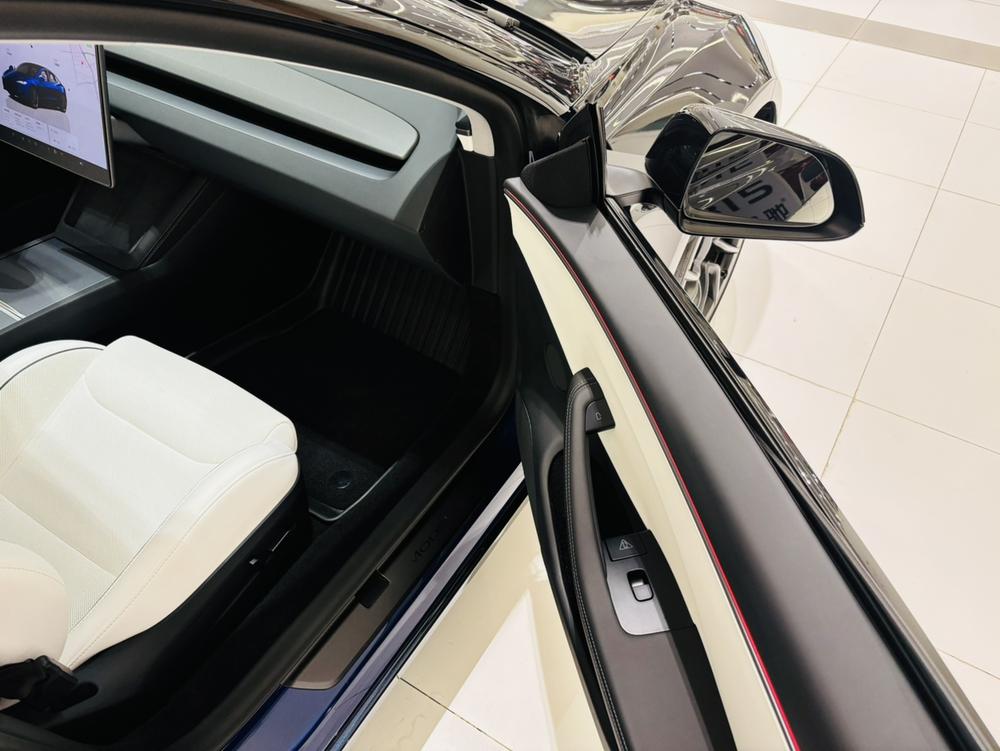 Tesla Model 3 2025 car image #11