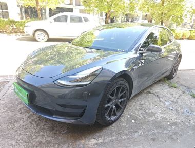 Tesla Model 3 2020 Tesla Model 3 2020 car image