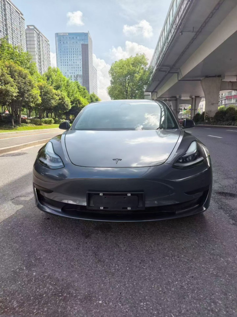 Tesla Model 3 2021 #3 Tesla Model 3 2021 car image #3