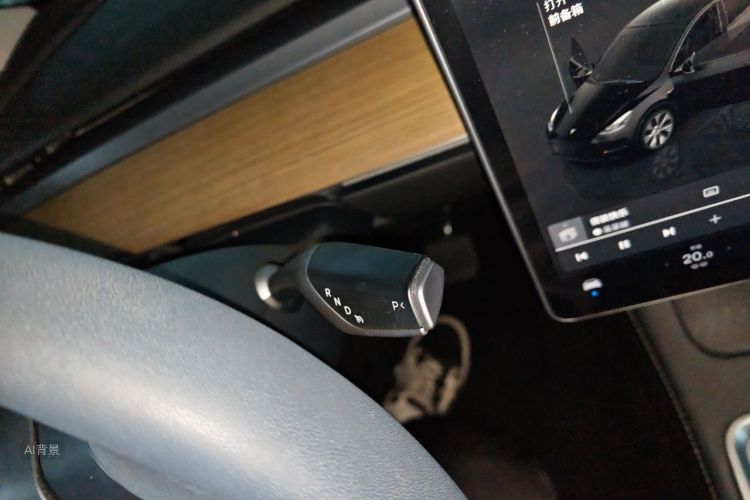 Tesla Model Y 2022 car image #16