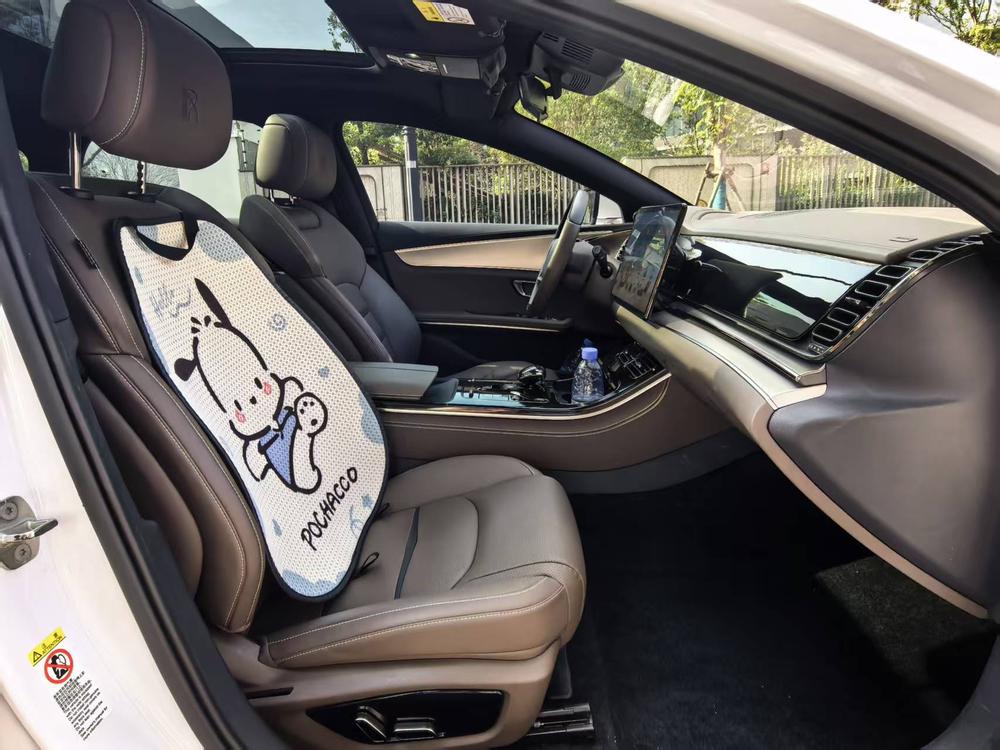 BYD Han 2021 imagen de coche #11