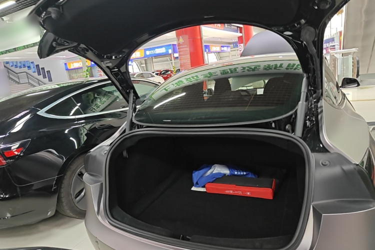 Tesla Model 3 2024 car image #19