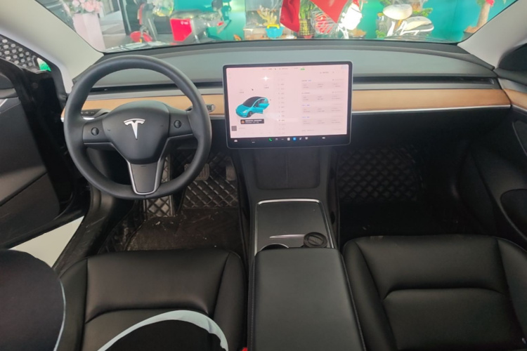 Tesla Model 3 2022 immagine di auto #10