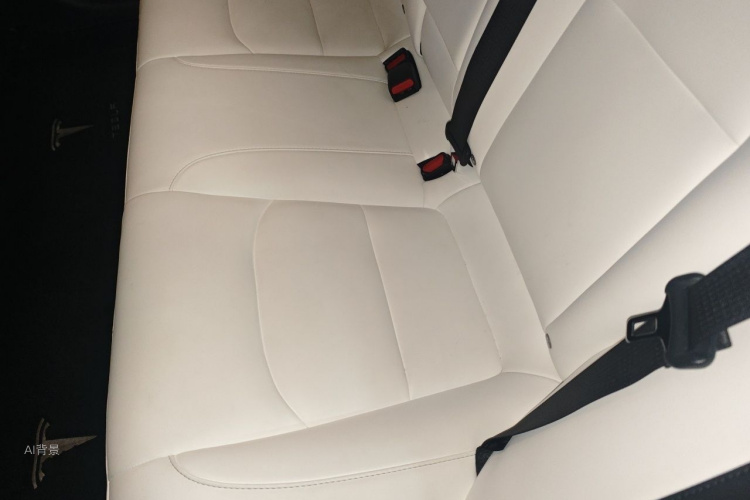Tesla Model 3 2020 car image #19