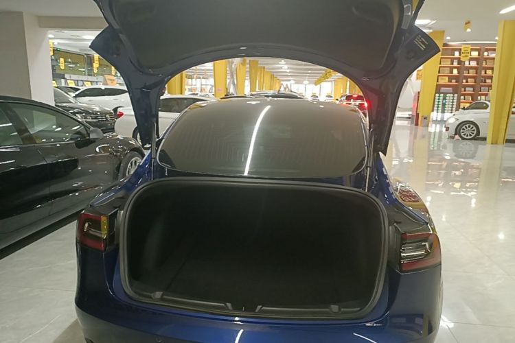 Tesla Model 3 2020 #19 Tesla Model 3 2020 car image #19