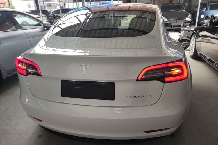 Tesla Model 3 2020 car image #6