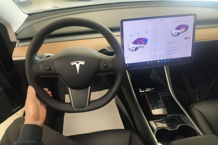 Tesla Model 3 2020 car image #10