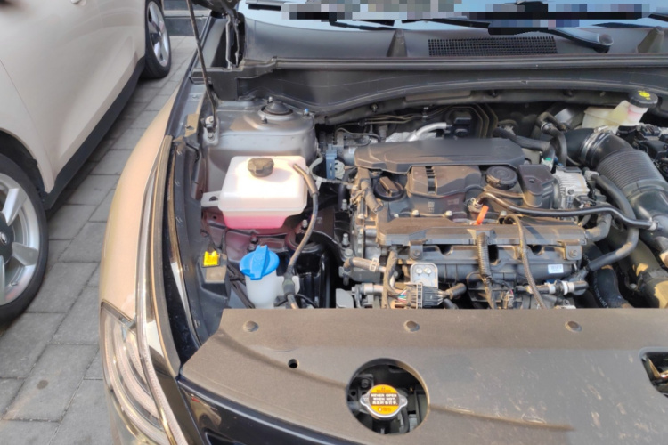 起亚 狮铂拓界 2024 汽车图片 #28