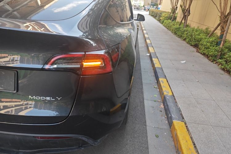 Tesla Model Y 2024 car image #8
