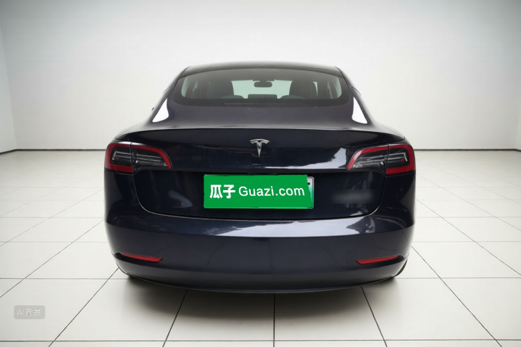 Tesla Model 3 2022 car image #6
