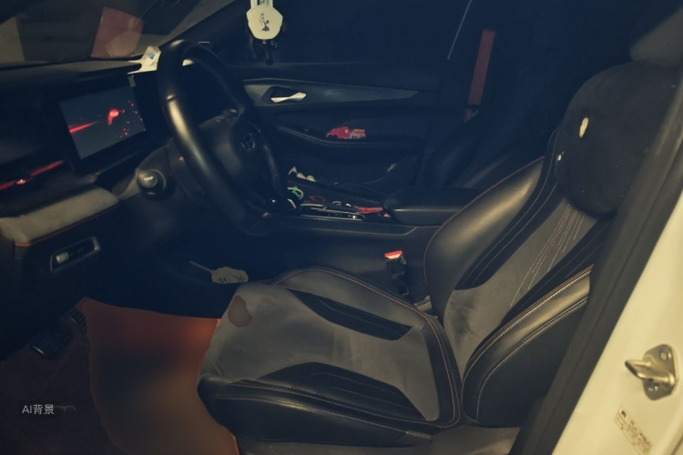 GEELY Binray 2022 #17 GEELY Binray 2022 immagine di auto #17