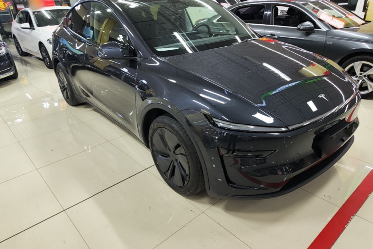Tesla Model Y 2025 car image #6