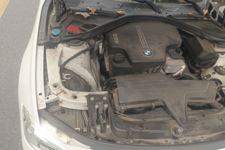 BMW 3 Series 2016 #22 BMW 3 Series 2016 car image #22